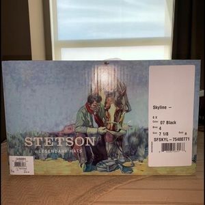 Stetson skyline black hat